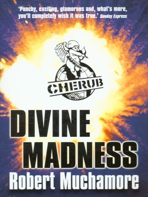 cover image of Divine madness
